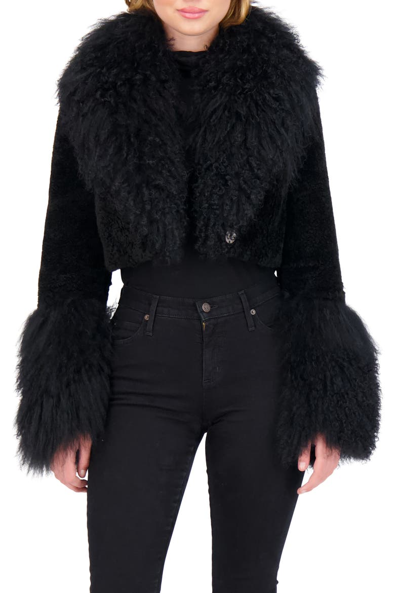 Sheared Genuine Shearling Bolero With Genuine Shearling Collar & Cuffs, Main, color, BLACK