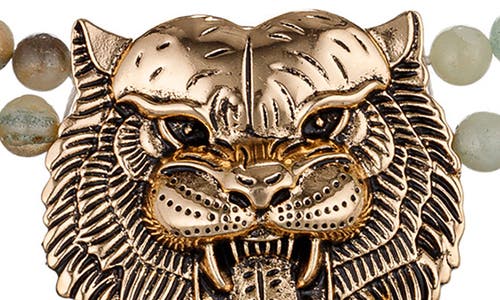 Eye Candy Los Angeles Asal Amazonite Tiger Necklace In Gold
