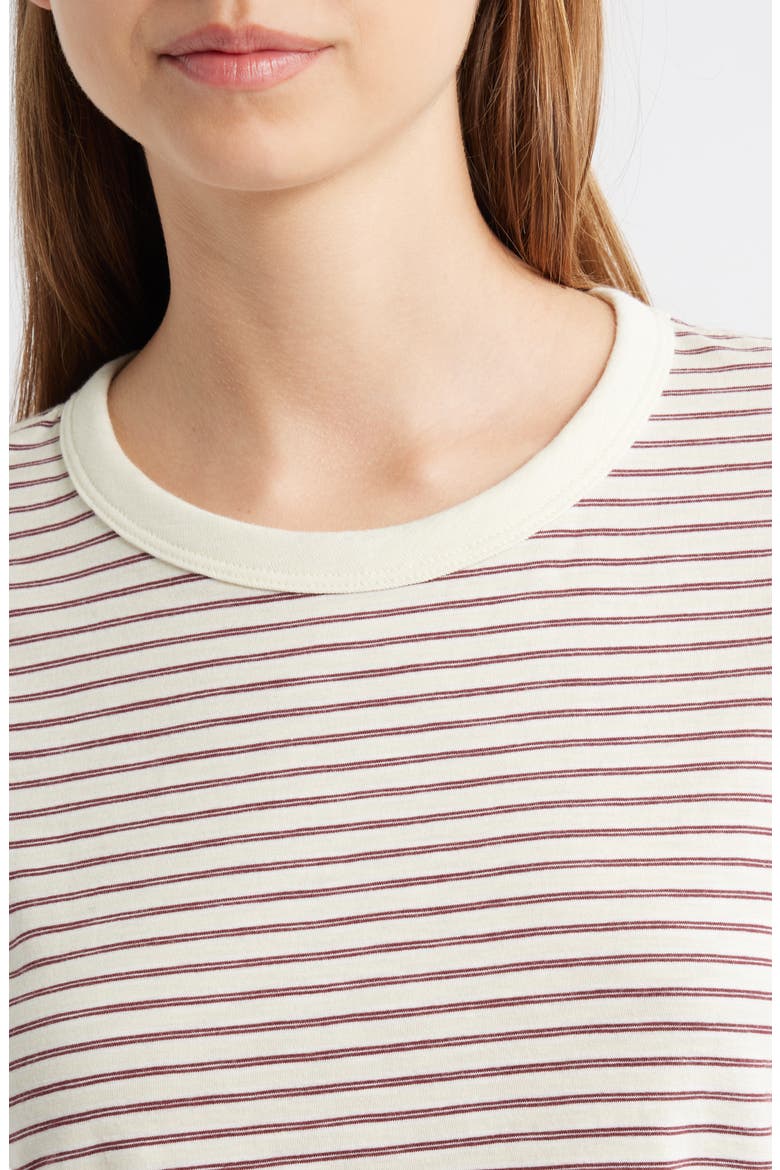 The Slub Stripe T-Shirt, Alternate, color, BEIGE MULTI