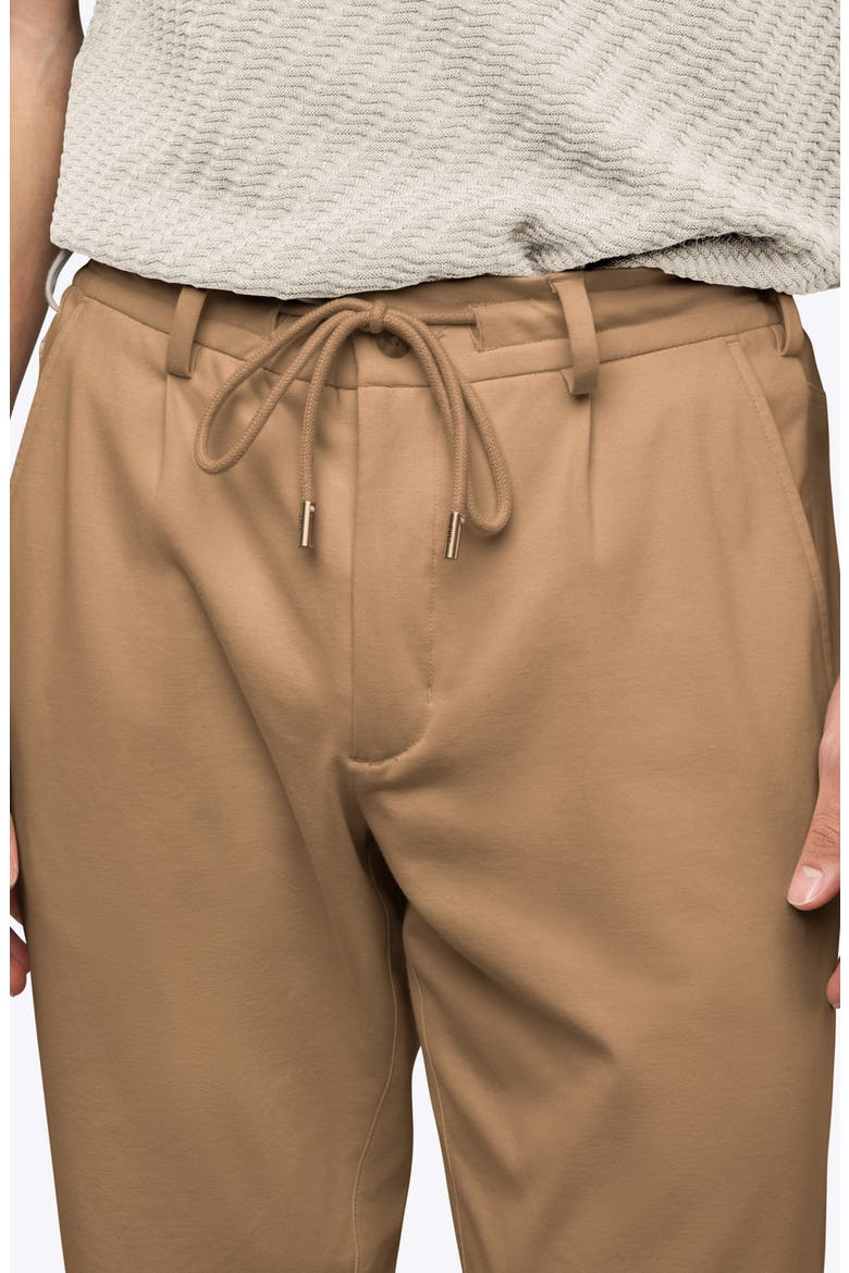 Soho Pleated Stretch Trousers, Alternate, color, SADDLE