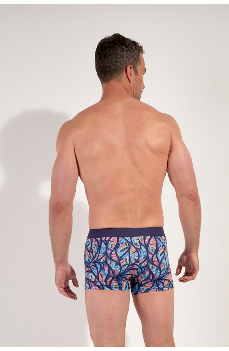 HOM Indian Creek Boxer Briefs, Alternate, color, Multico Print