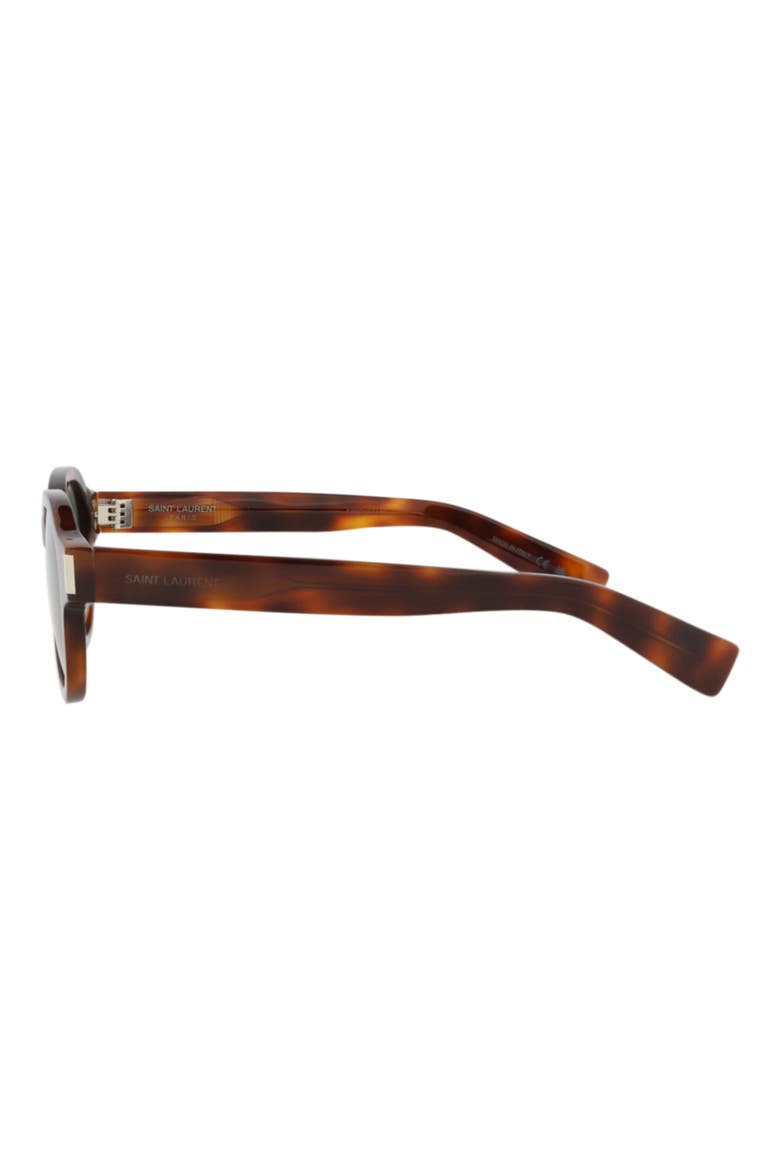 48mm Round Sunglasses, Alternate, color, HAVANA HAVANA GREEN