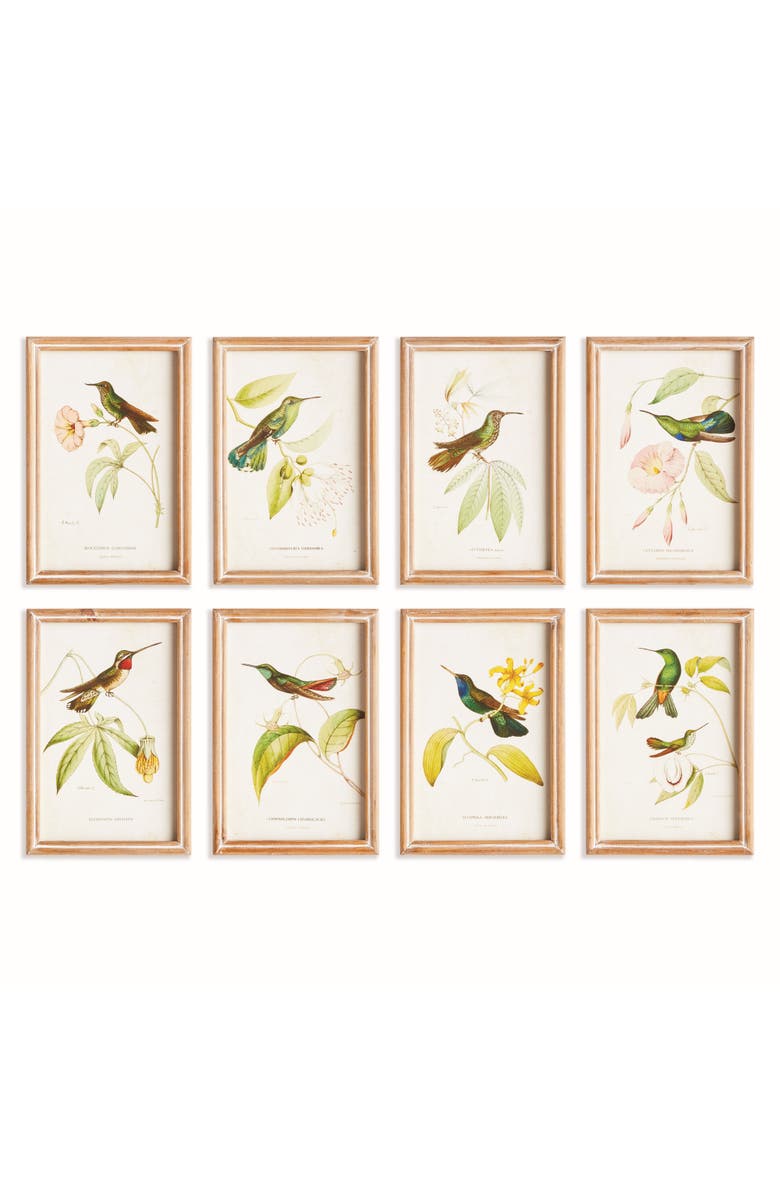 Napa Home & Garden Hummingbirds In Blooms Study, Set Of 8 - Multicolor Prints, Main, color, 