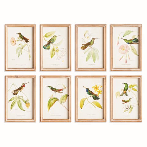 Hummingbirds In Blooms Study, Set Of 8 - Multicolor Prints