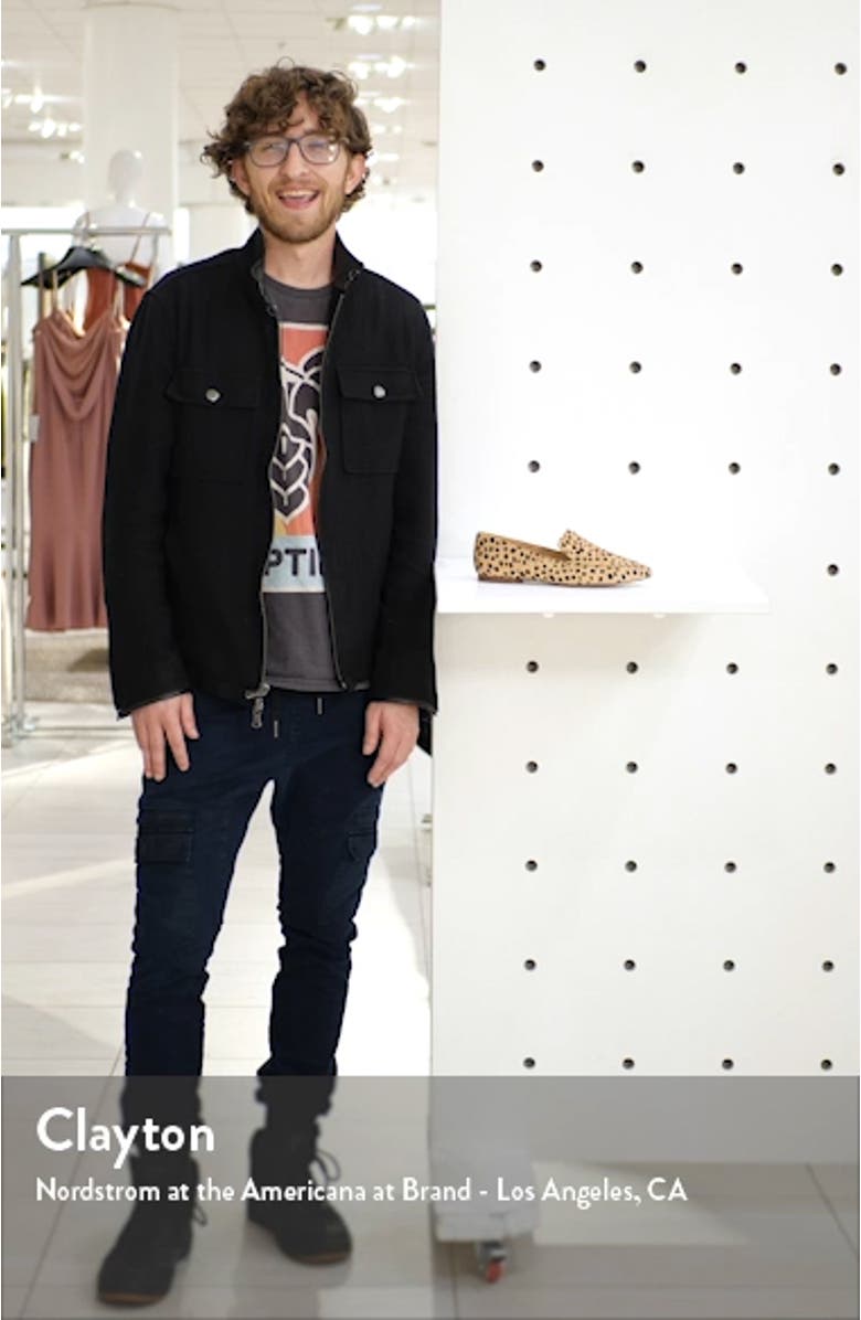 The Ian Skimmer Flat, sales video thumbnail