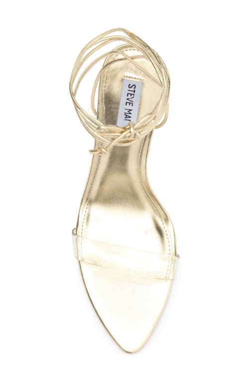 Steve Madden Dollyy Ankle Strap Sandal In Gold