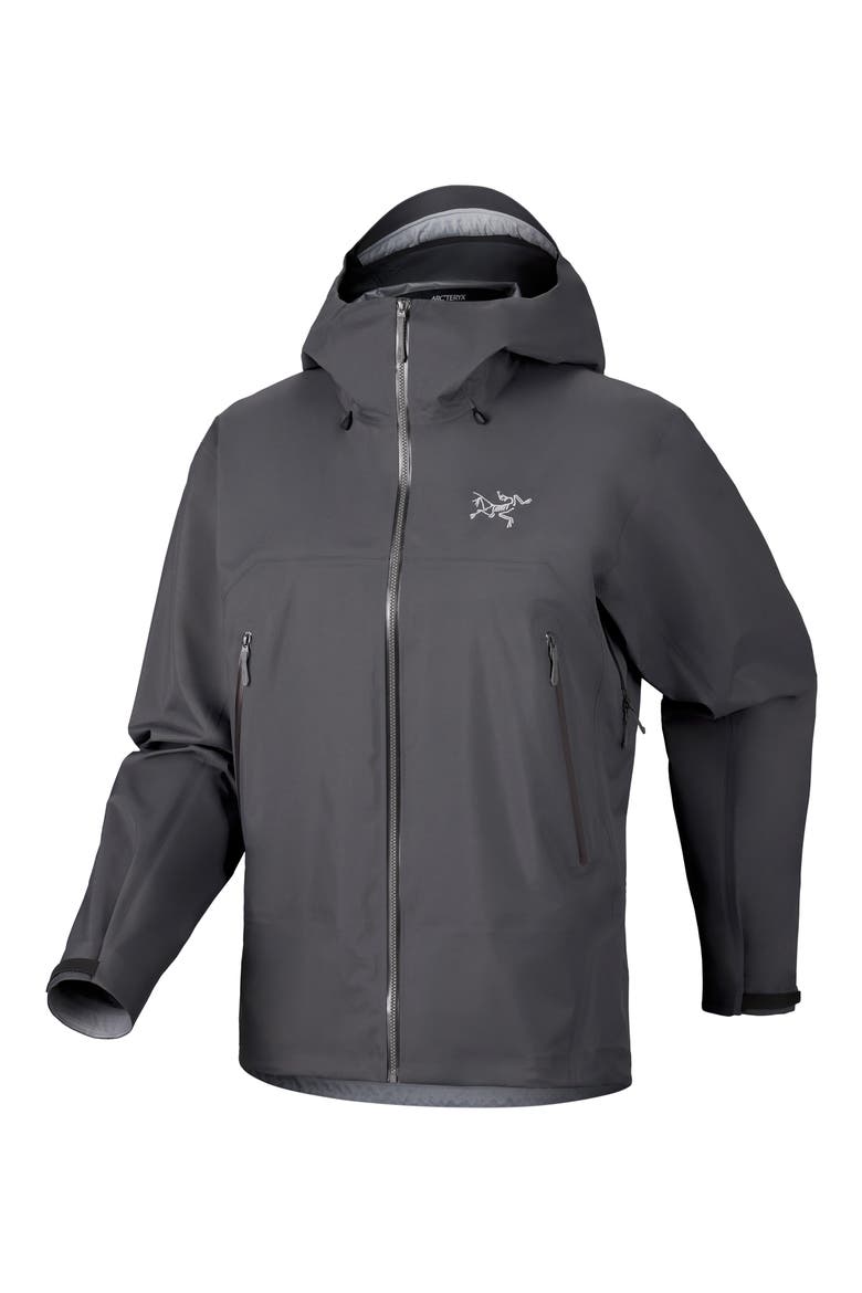 Beta SL GORE-TEX Hooded Jacket, Alternate, color, CLOUD