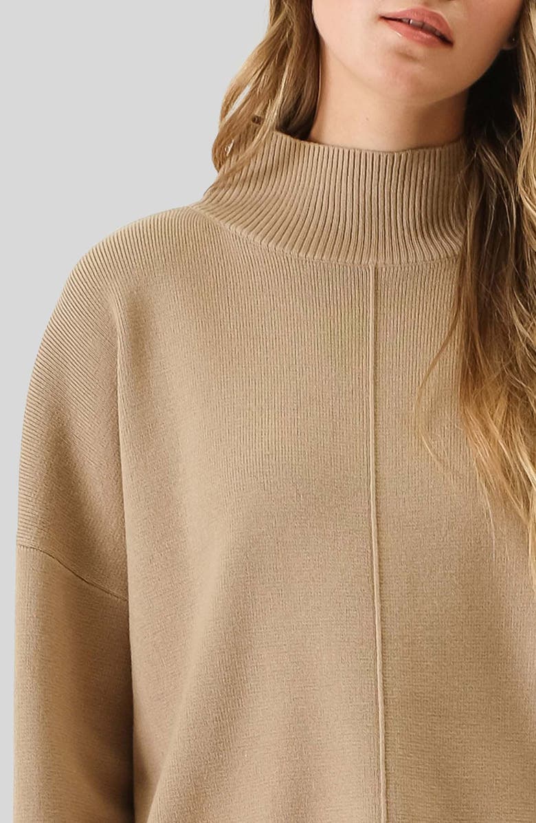 Blu Pepper High Neck Sweater, Alternate, color, Mocha
