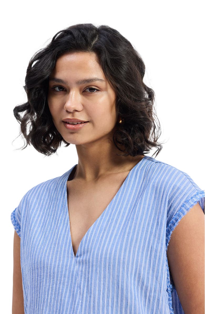 Reistor Boxy V-neck Top in Blue Stripes, Alternate, color, Blue Stripes