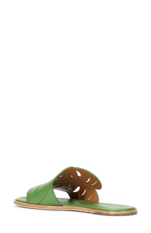 Staud Palm Slide Sandal In Leaf
