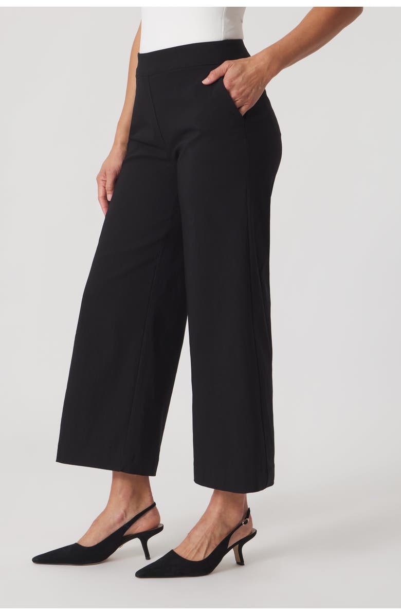 Franne Golde Catalina Stretch Cropped Wide-Leg Pant, Alternate, color, Black