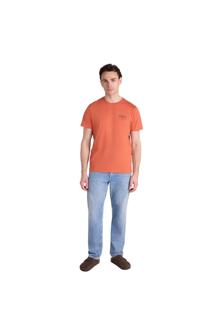 Jacob Back Print Logo T-Shirt, Alternate, color, Bright Orange