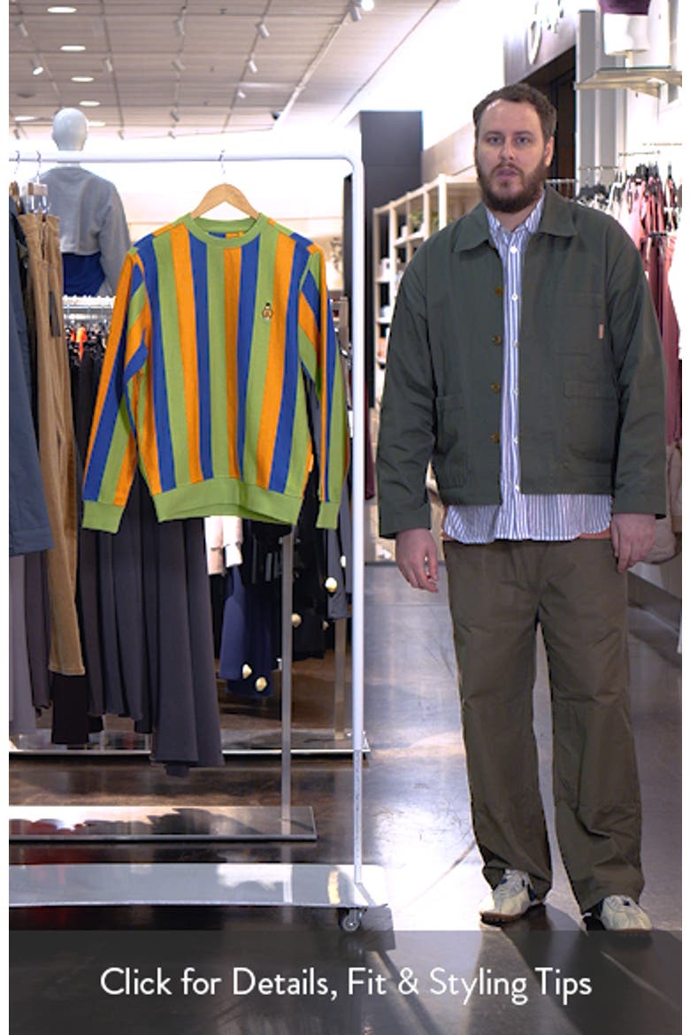 Bert Stripe Cotton Blend Long Sleeve T-Shirt video