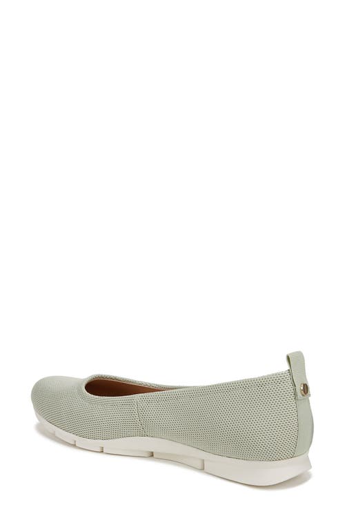 DR. SCHOLL'S DR. SCHOLL'S TIMELESS FLAT