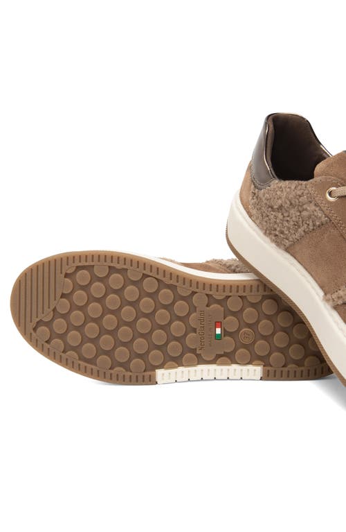 Nerogiardini Retro Faux Shearling Sneaker In Brown