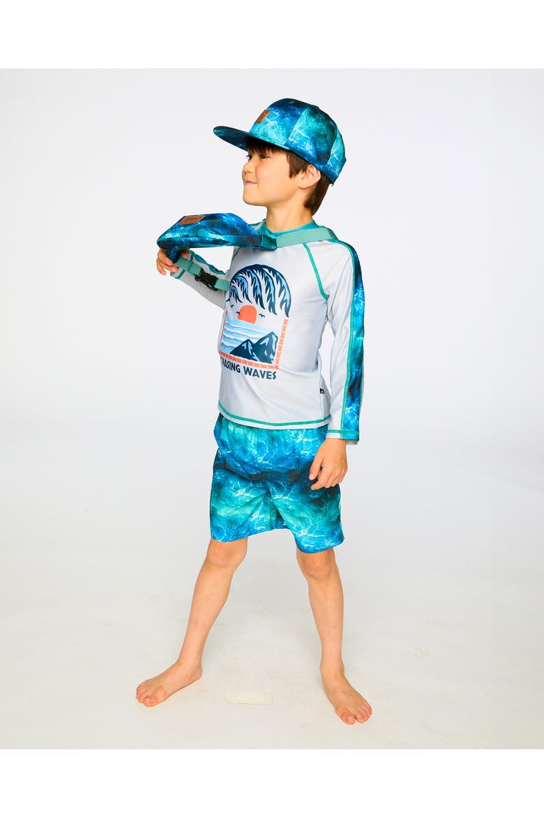 Long Sleeve Graphic Rashguard, Alternate, color, Pale Grey