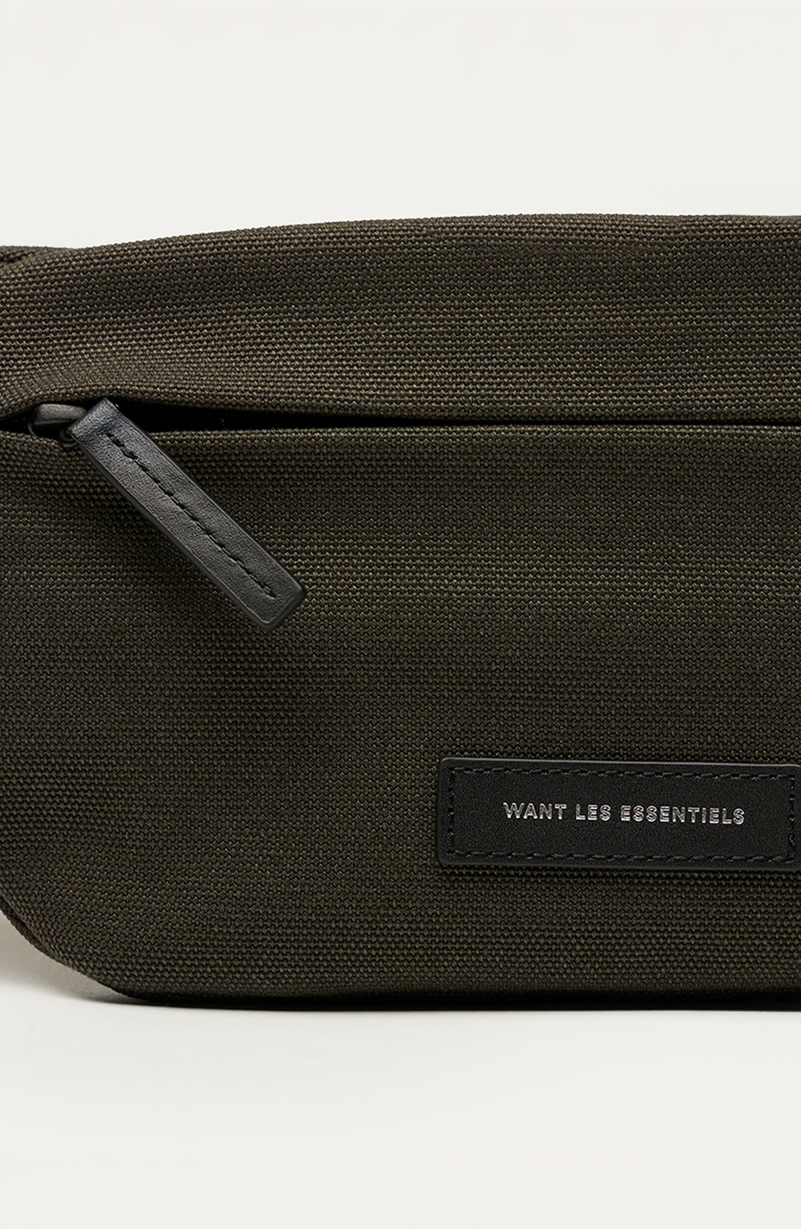 Atlin Organic Cotton Canvas Belt Bag, Alternate, color, GREEN