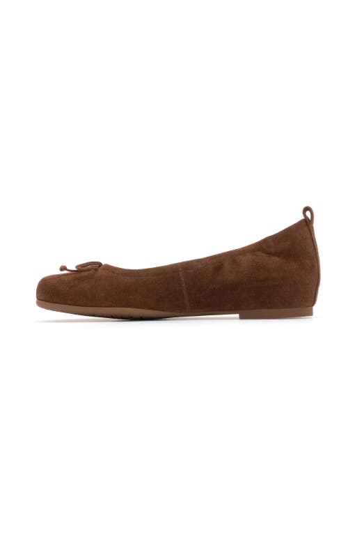 Abeo Cadence Bow Ballet Flat In Caramel Suede - Metatarsal