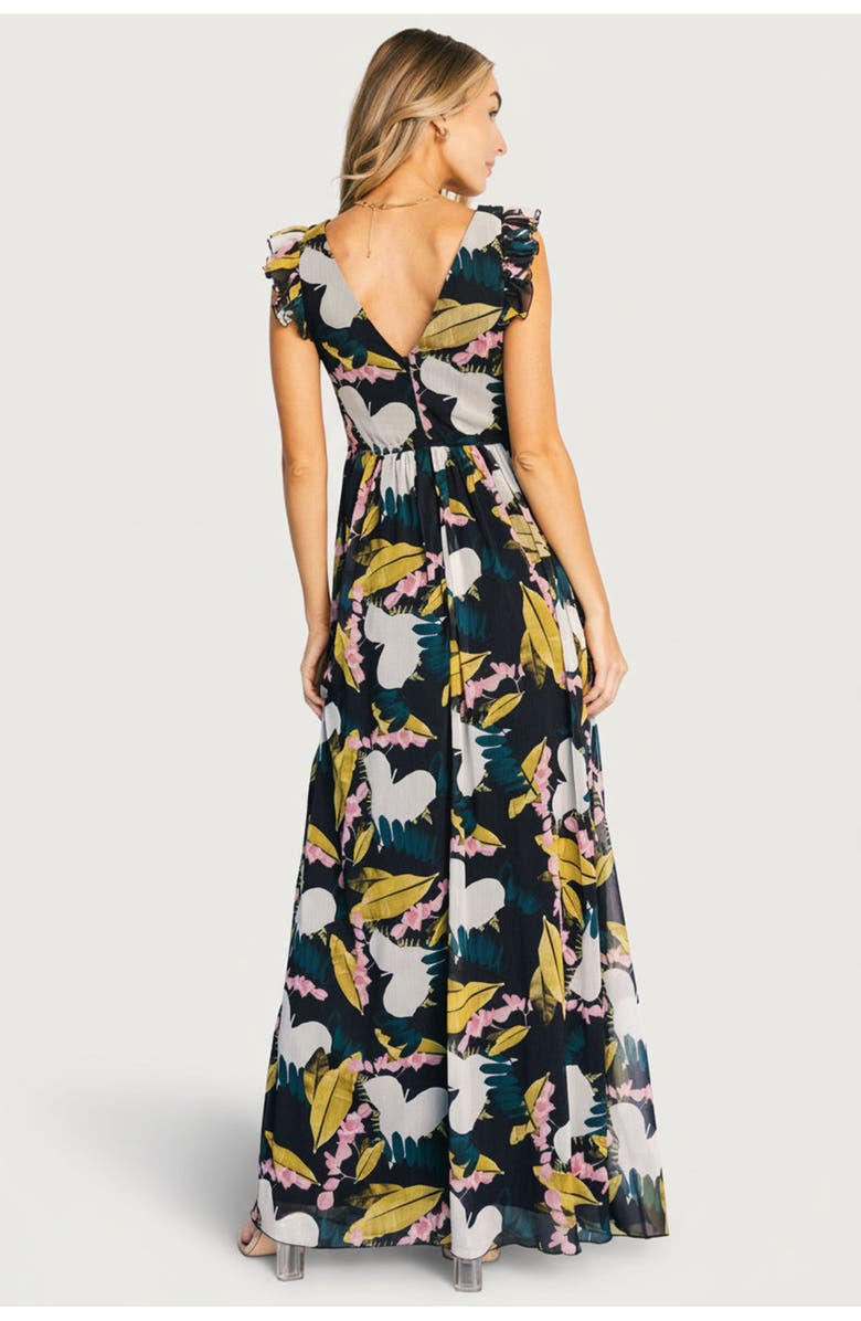Baltic Børn Esperanza Maxi Dress, Alternate, color, Black Multi
