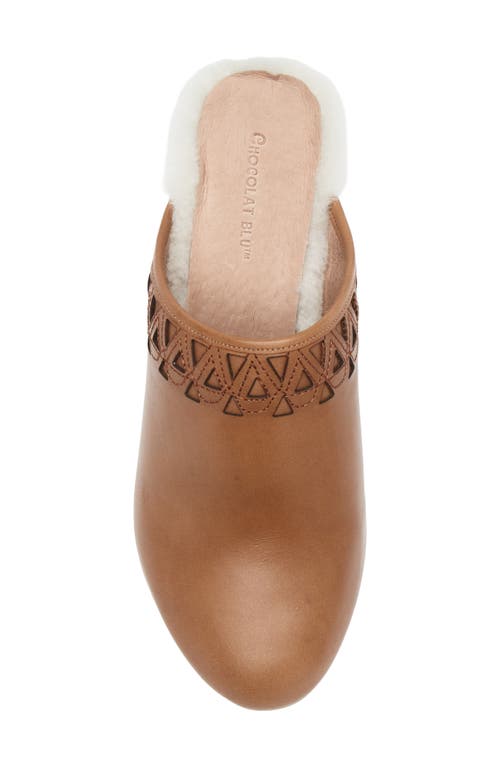 Chocolat Blu Gannet Platform Clog In Brown