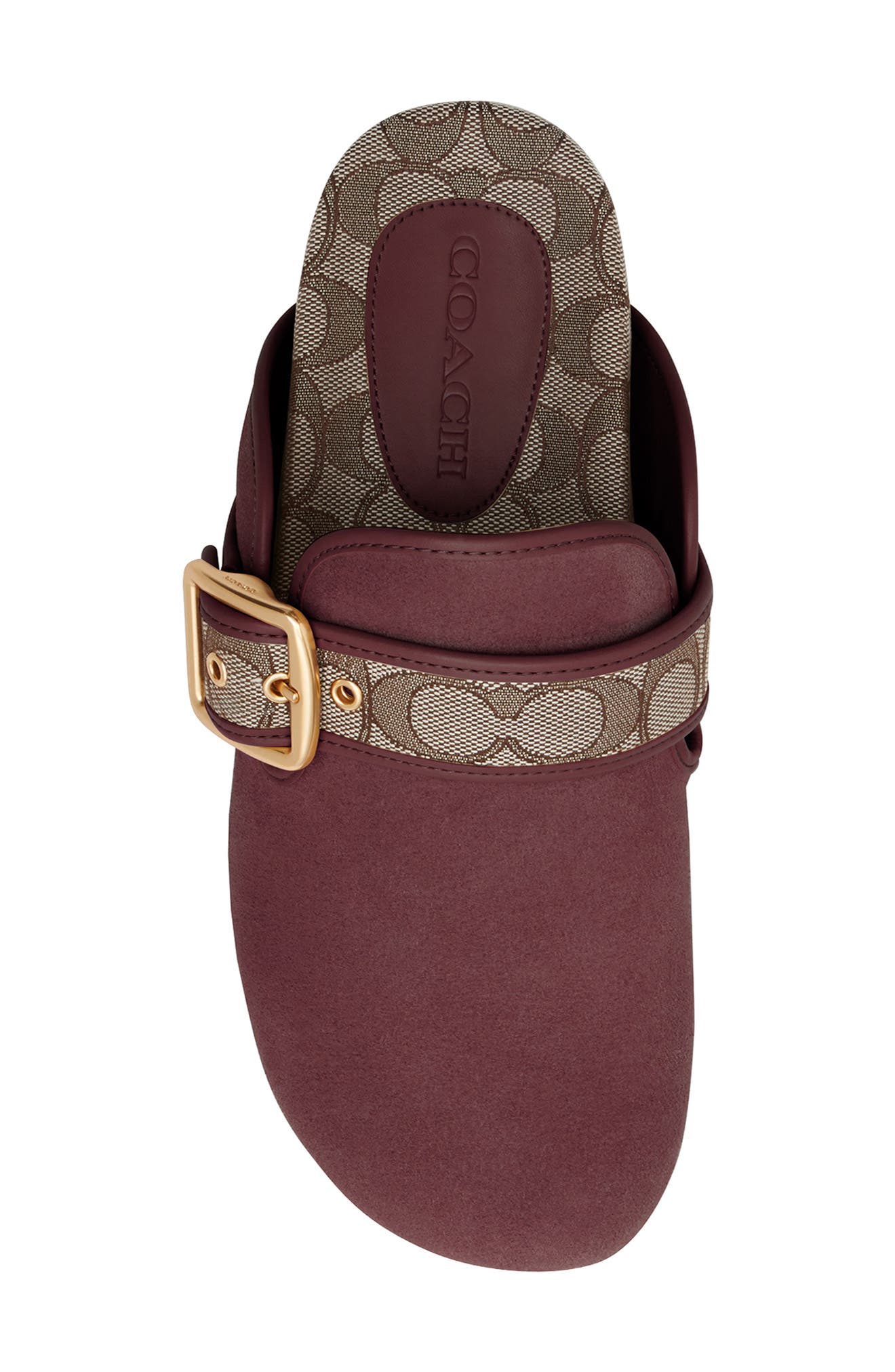 COACH Archival Buckle Mule, Alternate, color, Merlot
