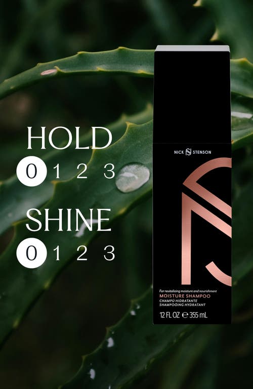 Nick Stenson Beauty Moisture Shampoo In Black