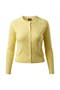  Pale Yellow