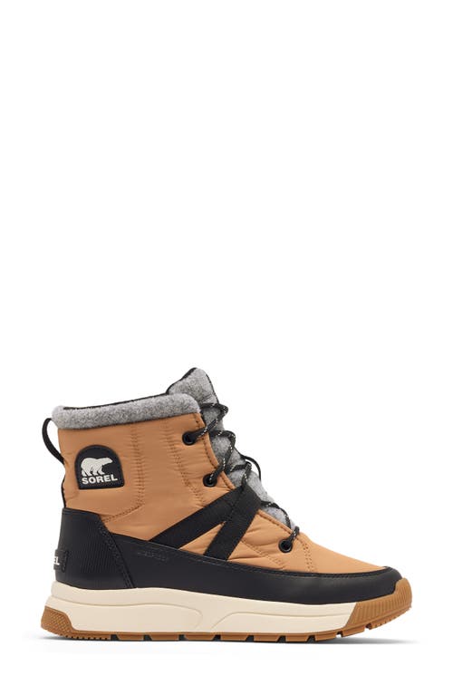Sorel Whitney Iii Waterproof Mid Boot In Multi