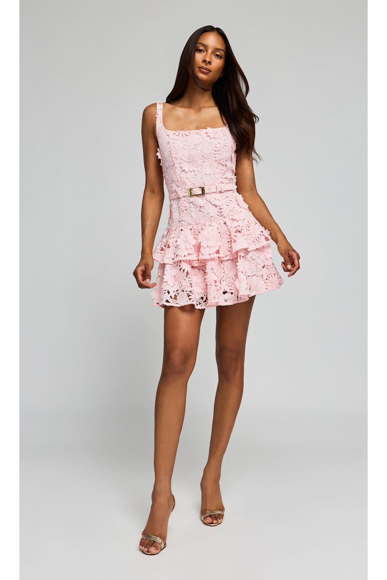 Lisette 3D Lace Dress, Alternate, color, Ballet Slipper