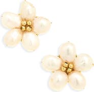 Karine Sultan Butterfly Cluster Stud Earrings