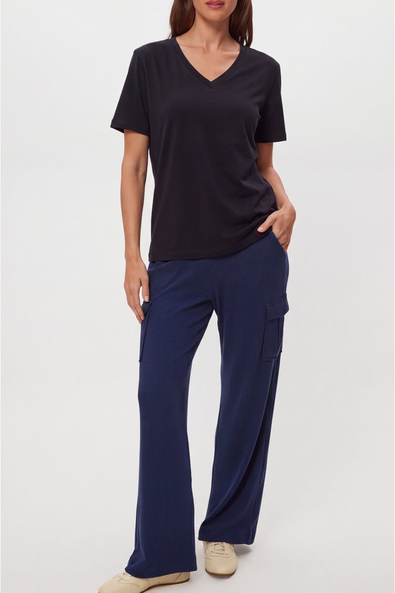 Short Sleeve V-Neck Cotton T-Shirt, Alternate, color, Black