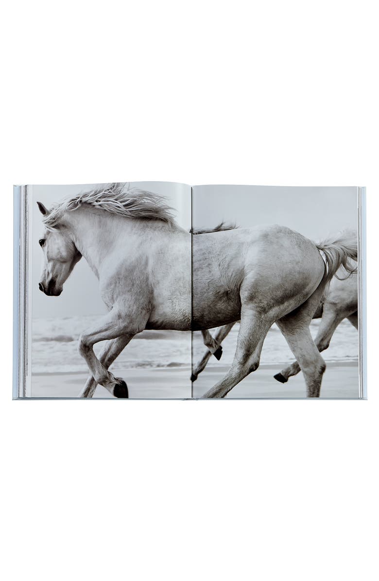 Graphic Image Untamed Spirits Horses From Around the World Leather Edition, Alternate, color, Cloud