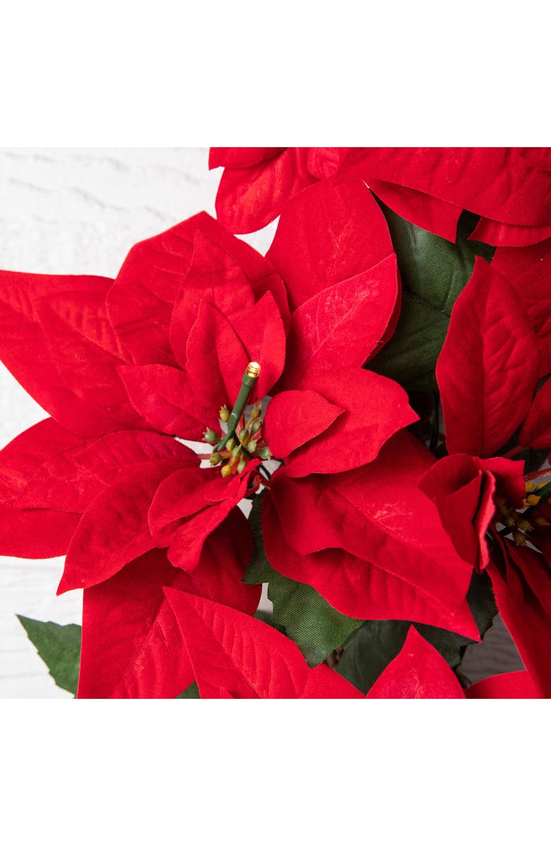 Balsam Hill Outdoor Poinsettia Pre Lit Wreath 26", Alternate, color, Red
