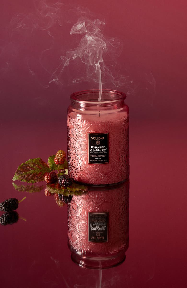 Voluspa Foraged Wildberry Large Jar Candle, Alternate, color, Foraged Wildberry