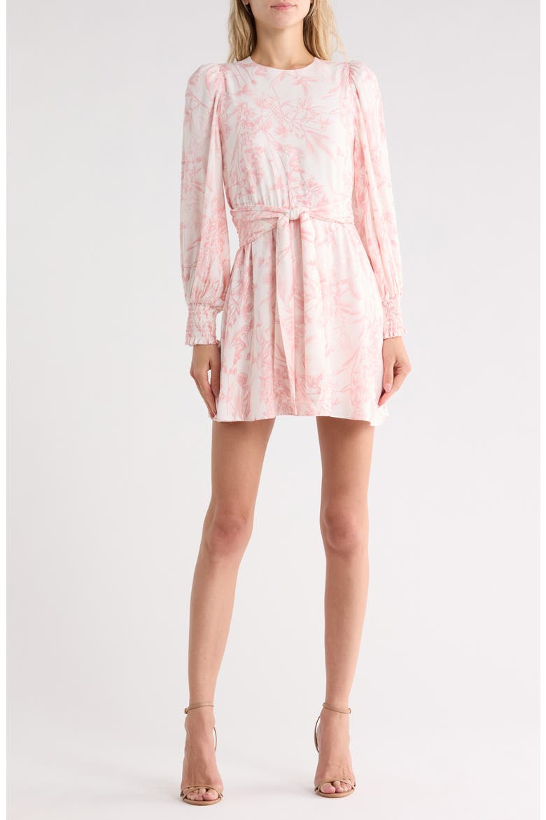 Molli Floral Long Sleeve Tie Waist Dress, Main, color, VIGNETTE