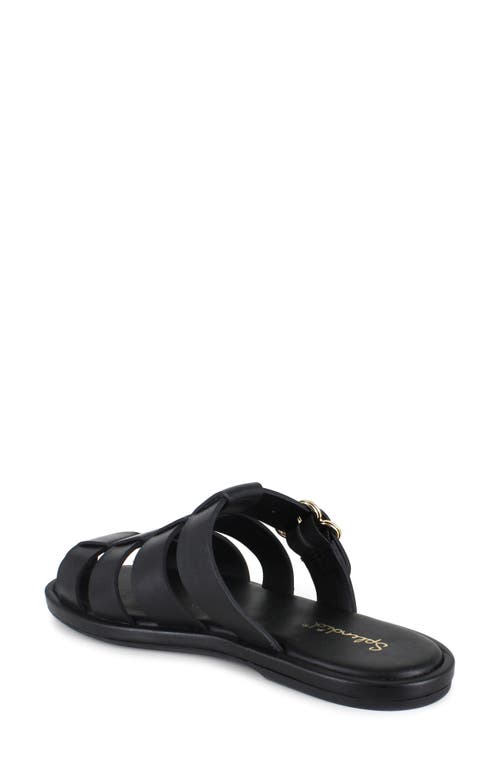 Splendid Fatima Slide Sandal In Black