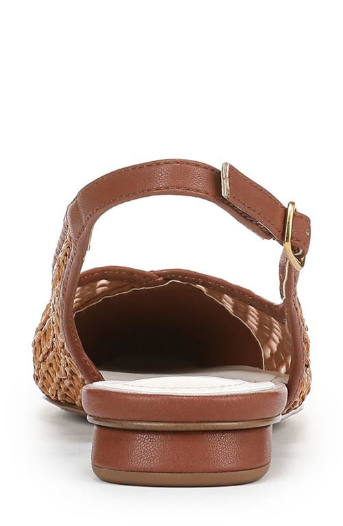 Franco Sarto Raena Slingback Flat In Brown