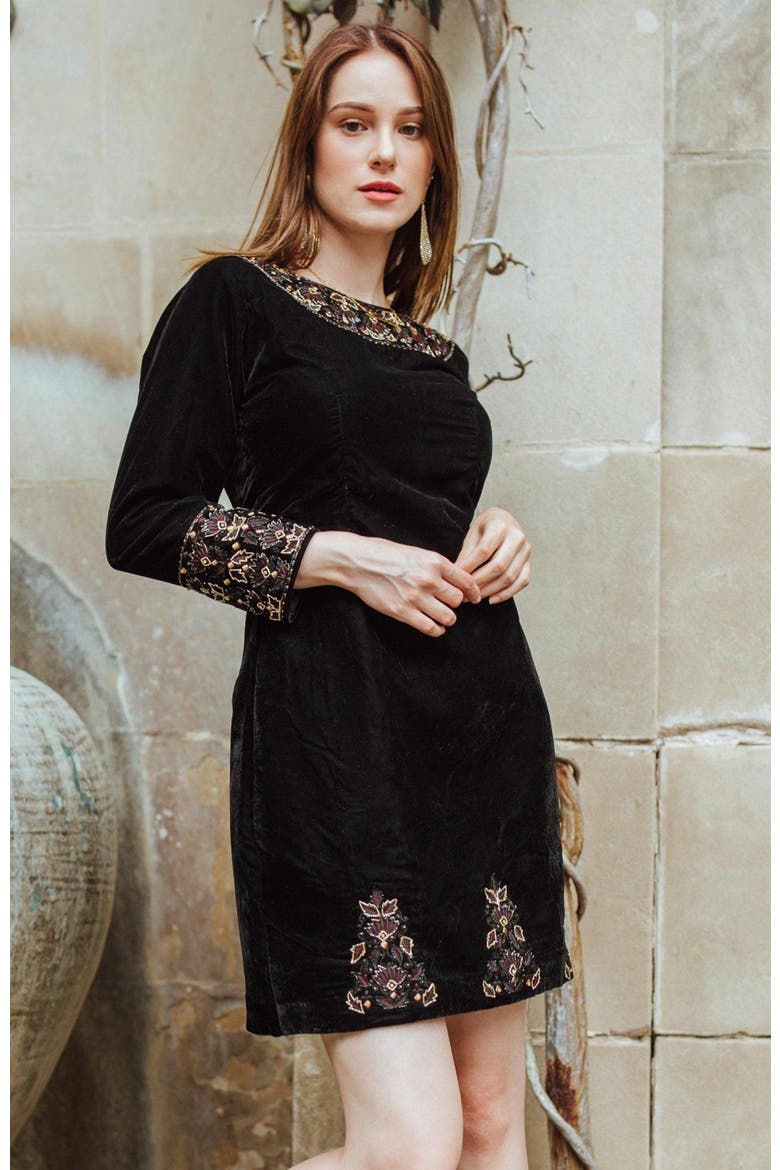 Arial Velvet Mini Dress Embroidered, Alternate, color, Black