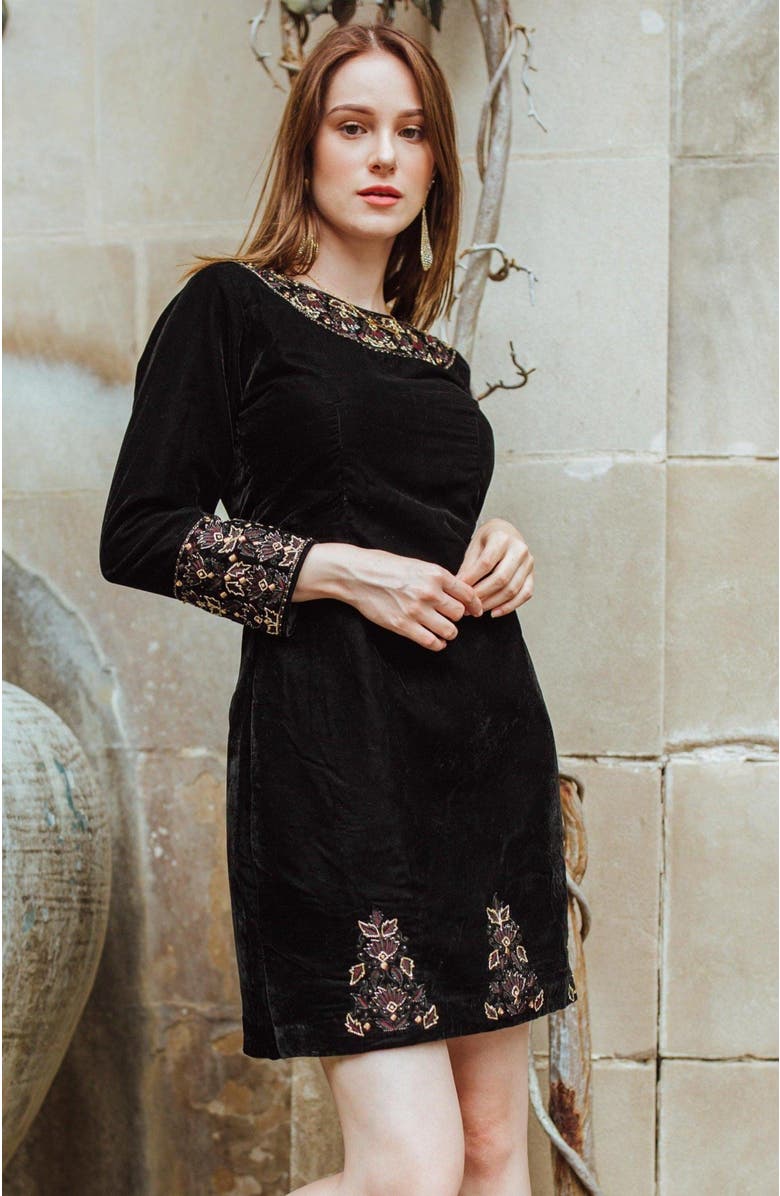RAAS Arial Velvet Mini Dress Embroidered, Alternate, color, Black