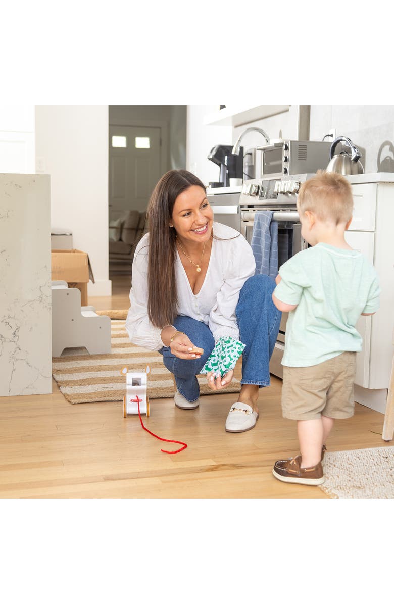 Melissa & Doug Feed, Walk & Poo Pup Playset, Alternate, color, 