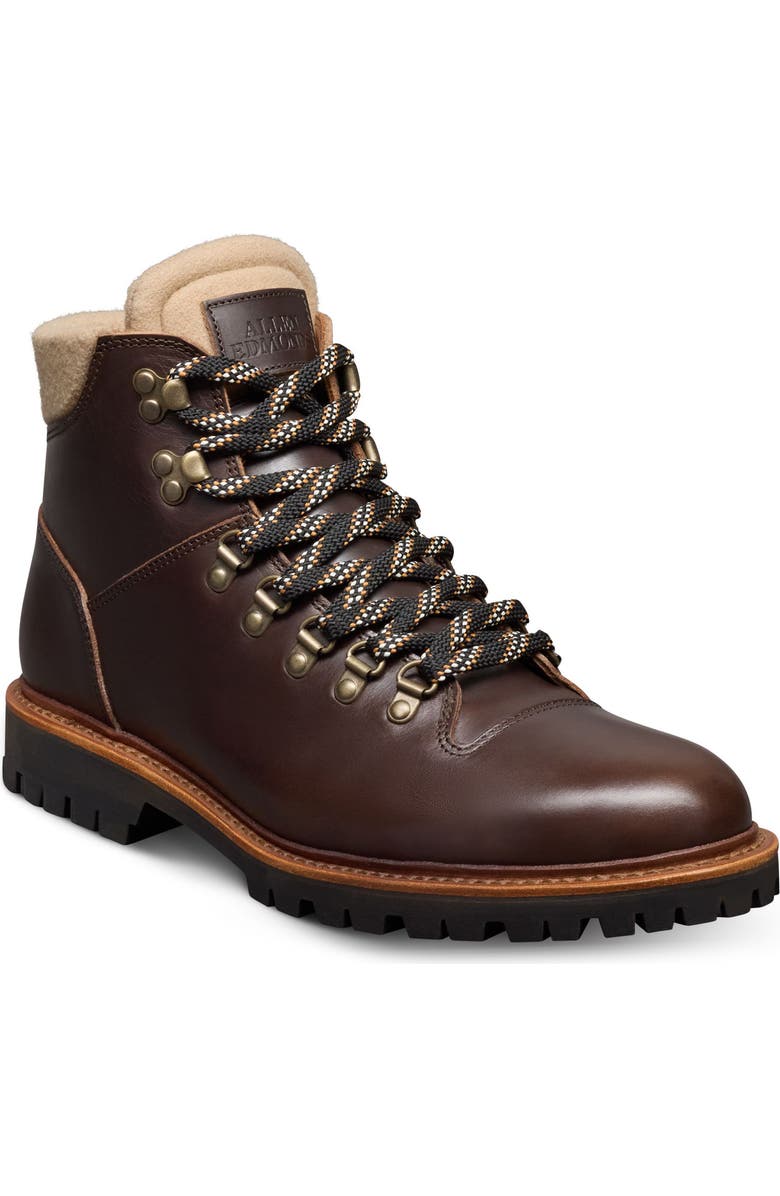 Allen Edmonds Whistler Waterproof Hiker Boot, Main, color, Brown