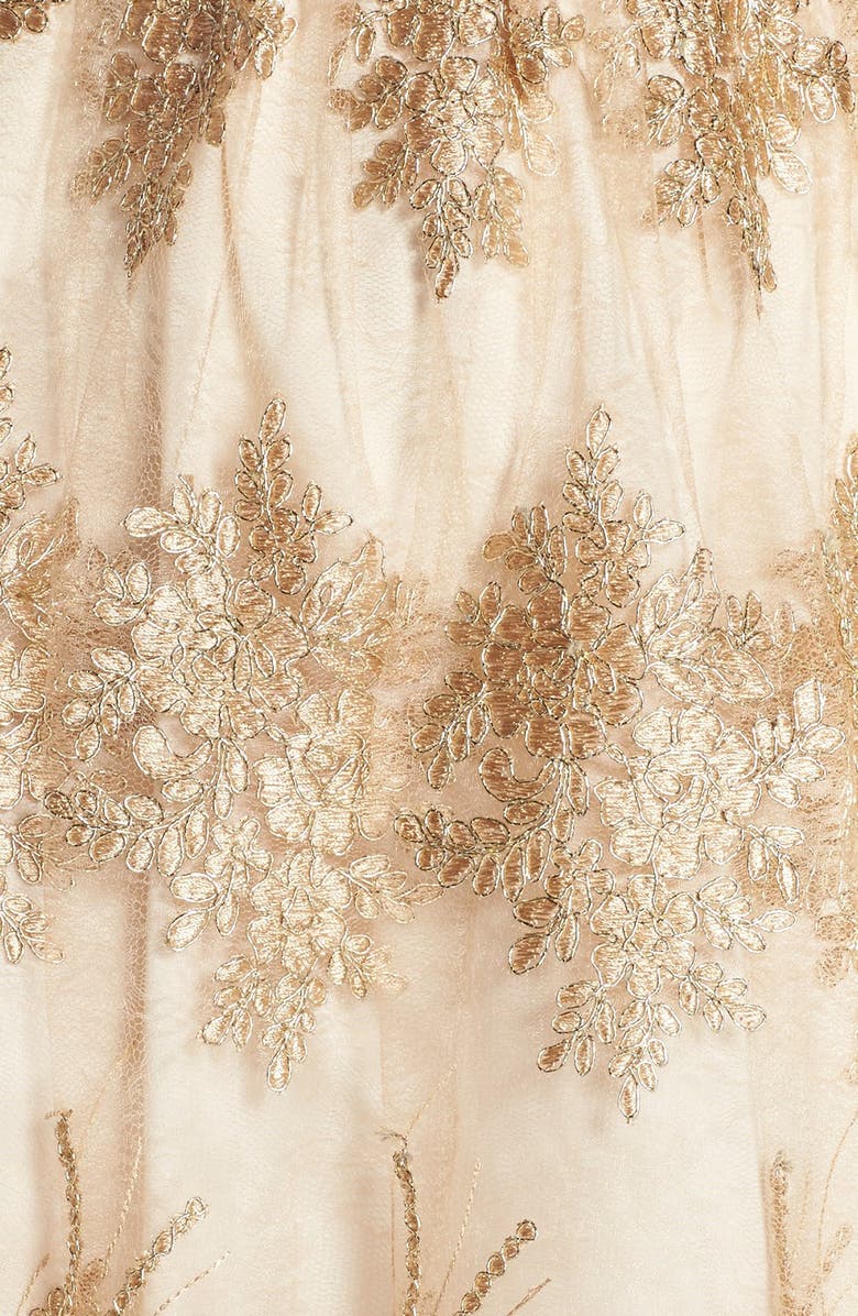 Adrianna Papell Embroidered Lace Fit & Flare Dress, Alternate, color, 