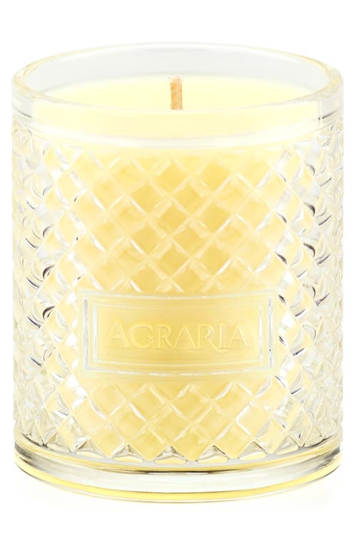 Agraria San Francisco Holiday Perfume Candle In White