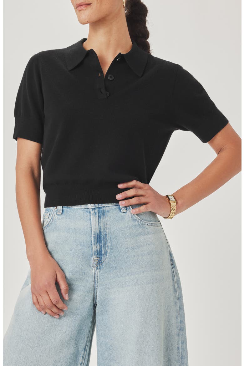 Christa Crop Polo Sweater, Main, color, BLACK