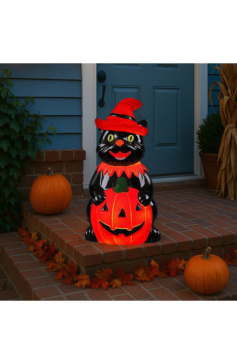 Mr. Halloween 18 in. Outdoor Cat Lit Blow Mold, Alternate, color, Multicolor