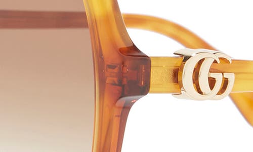 Gucci 56mm Gradient Square Sunglasses In Havana Havana Brown