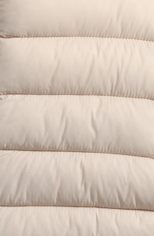 Save The Duck Storm Quilted Bunting In Brown
