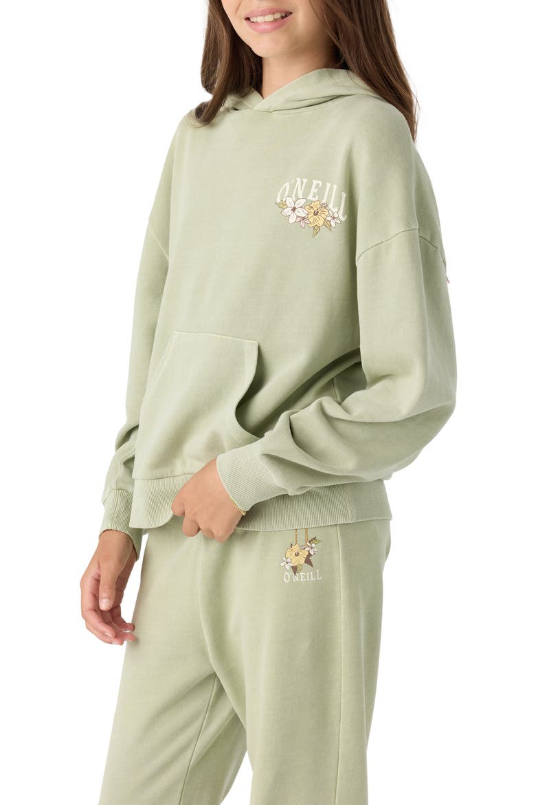 Kids' Asher Graphic Hoodie, Alternate, color, DESERT SAGE