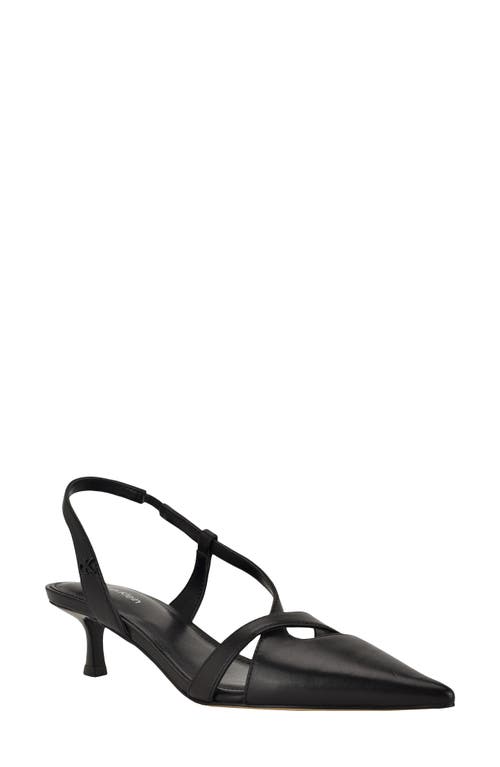 Calvin Klein Arlanna Slingback Pointed Toe Kitten Heel Pump in Black Leather at Nordstrom, Size 9