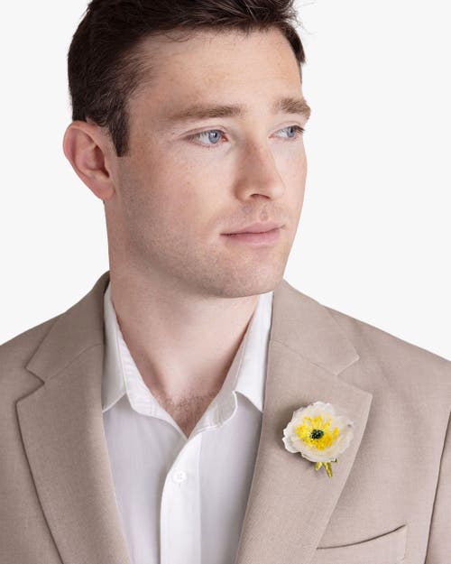 Helena Simon The White Poppy In White